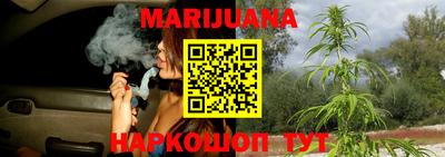 стаф Лесосибирск