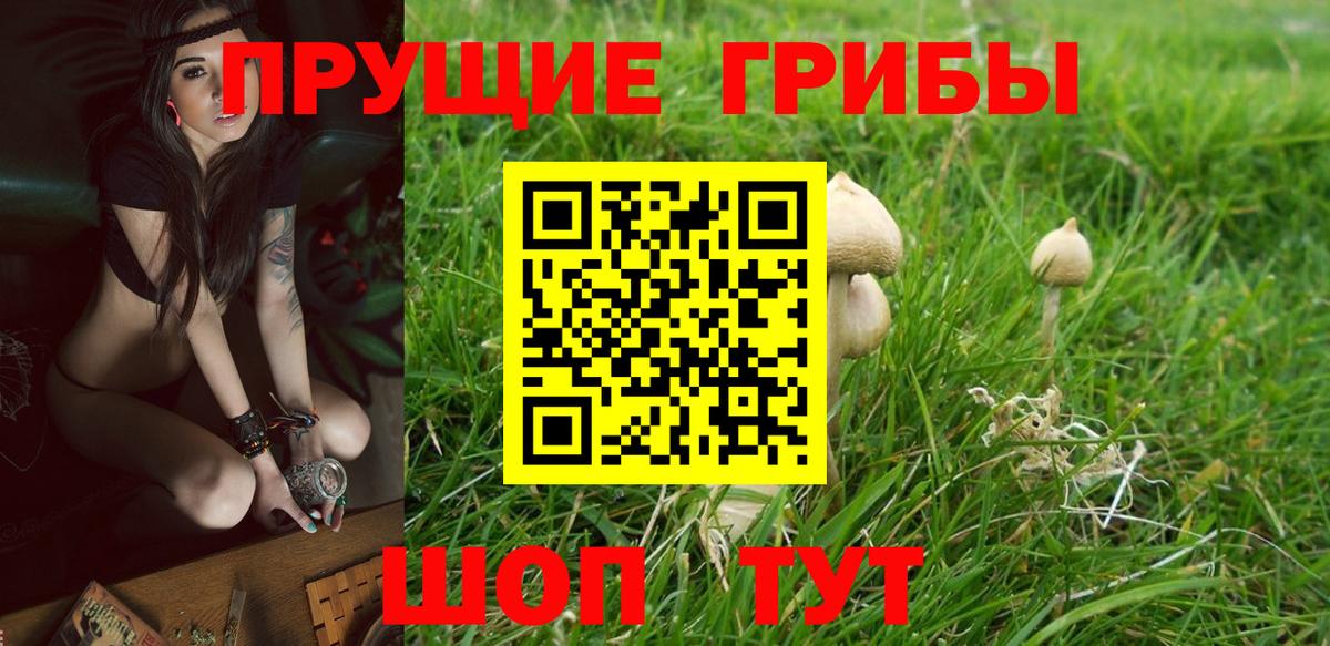 Фрязино  Псилоцибиновые грибы Magic Shrooms  Вход с VPN 