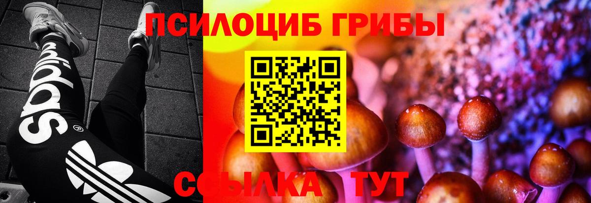 Псилоцибиновые грибы ЛСД Фрязино