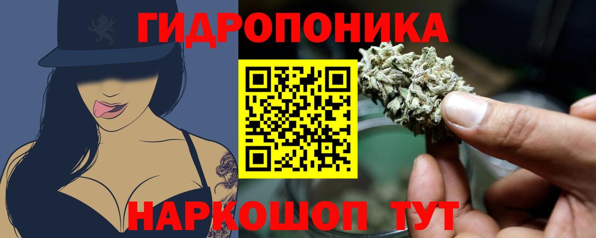 Канабис гибрид Фрязино